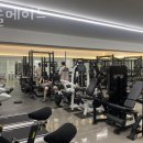 머슬메이드 이미지