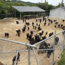 옥당관광농원 네이버블로그