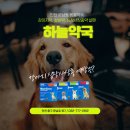 영종도 동물약국 이미지