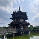 228 | [대만/타이베이여행] 타이베이메인역 근처 가볼 만한 곳 '228화평공원(二二八和平公園)' 후기