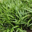 길상초등학교 이미지