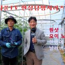 메디풀(Medipool) 이미지