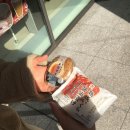 휴먼앤드게임 | Fukuoka .• ໒꒱