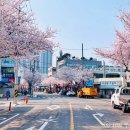 23.탕정면 행정복지센터B(행정) | 대구 고성동 벚꽃길 다녀온 후기, 사람 적은 벚꽃 명소 여기였네