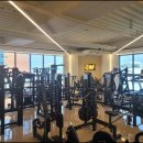 머슬메모리짐 이미지