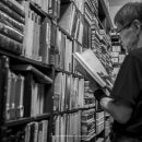 안성봉 카카오 검색결과