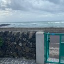 신천코지 이미지