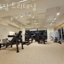 트리짐트리태닝