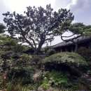 신반목욕탕 이미지