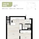 다시 뛰는 대구의 심장 성내 이미지