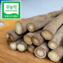 휴먼플래너 이미지