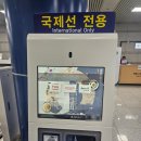 케이국제결혼 | 에어로케이 체크인, 청주공항 식당, 비행기 보조배터리 절연테이프