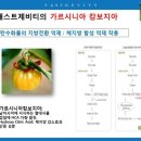 하나에너지 이미지