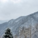 다래하우스펜션 이미지