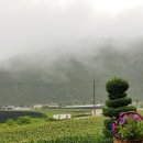 콩사랑 티스토리