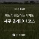 다모앙제주