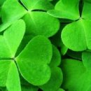 세종사이버대학교 대학원 이미지