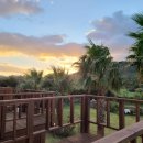 클로버비앤비 이미지