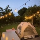 애월담아 이미지