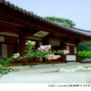이춘구의원 이미지