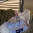 고다상사 | BBQ 신메뉴 뿜치킹 리얼 후기