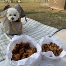 화성식당 - 서구 남부민로10번길 9 | 화성식당