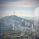 [고성국TV 생방송 25년 11월 20일 (목)] 김용현 변호인 감치-석방, 블랙 코미디 이미지