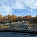 선수촌삼거리 이미지