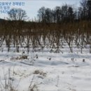 상용보건진료소 이미지