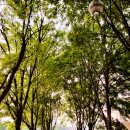 수인선 세류공원 | 수원공원 l 수인선 세류공원에서 역사를 탐방하는 추억의 시간 가족 연인과 함께 산책하기 좋은 코스