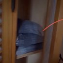 망상리조트(한옥) 이미지