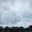 꿀돼지김치찌개 이미지