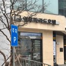 복실애견 | 부산 해운대 애견미용&amp;호텔 &#34;몽아띠&#34; 미용 후기 (털북숭이에서 탈출 성공!)