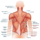 리마인드PT | 중계동 헬스장 휘트니스인 안도윤 트레이너 PT 후기