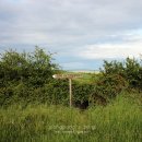 (주)초원렌트카 이미지