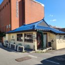 세렝게티 이미지