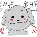 유명산밸리 캠핑장 이미지