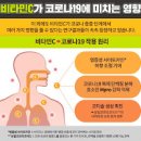 가지 효능 말린 후 두고두고 먹으면 생기는 일 이미지