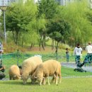 소래목장 이미지