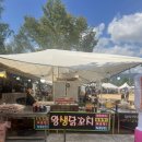 9월 1주 평창 효석문화제 메밀꽃밭 후기 나무를심는사람들 펜션 1박2일 여행
