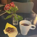 D01099 | 독일 드레스덴 여행 볼거리 호스텔 후기