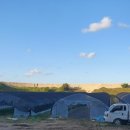 (주)진농 이미지