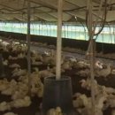 나주농장 이미지