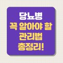 당뇨병과 건강관리 | 당뇨병, 중년 이후 꼭 알아야 할 관리법 총정리!