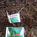 시온농장 이미지