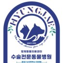 형제동물의료센터 이미지