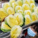 대관령원예농협 하나로마트 이미지