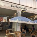 그리디힙히크 | 서울 성수 뚝섬역 애견동반카페 그리디힙히크[greedy.hyphique]다녀온후기