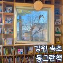 강원 속초 소품샵 동그란 책 속초 독립서점