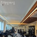 블랙맘바짐 이미지